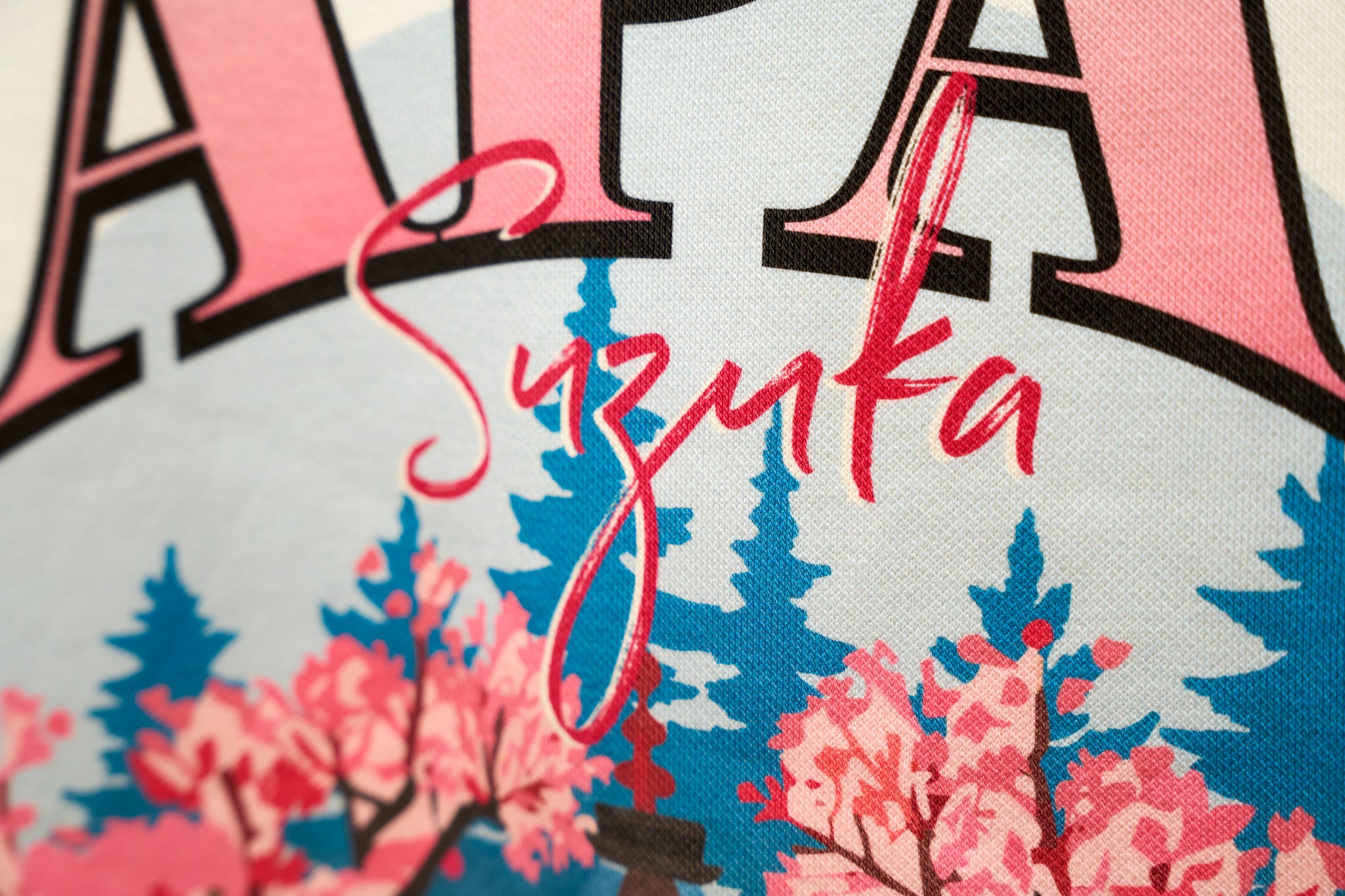 Formula 1 Japan Cherry Blossom Graphic Hoodie